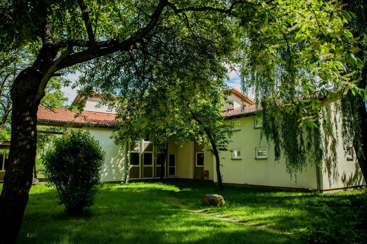 Miedzynarodowy Dom Spotkan Mlodziezy W Oswiecimiu Dış mekan fotoğraf